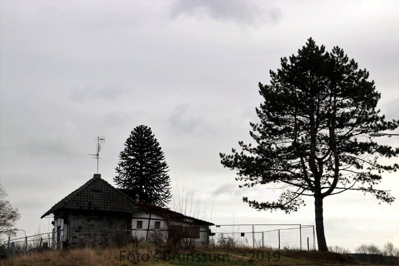 The cottage seen from a distance on the Bouwberg hilltop, 2019